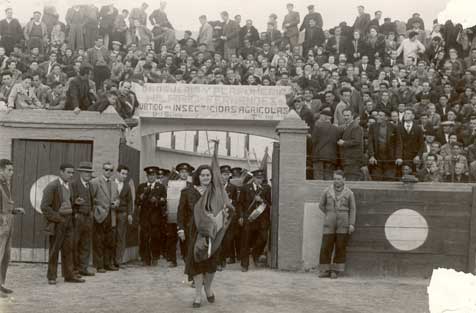 AO 1958